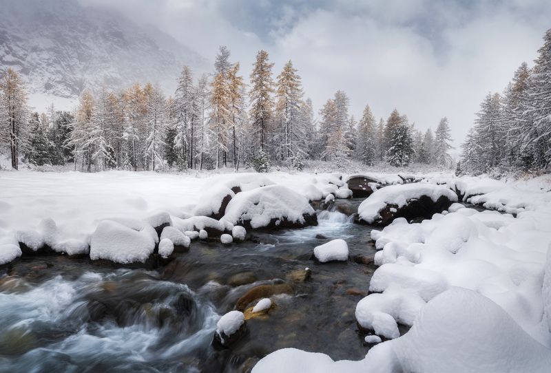 алтай, горный алтай, пейзажи алтая, кош-агачский район, горная река, золотая осень, горы, осенний алтай, горная тайга, горное ущелье, актру, ак-туру, ущелье актру, предзимье СНежность осени фото превью