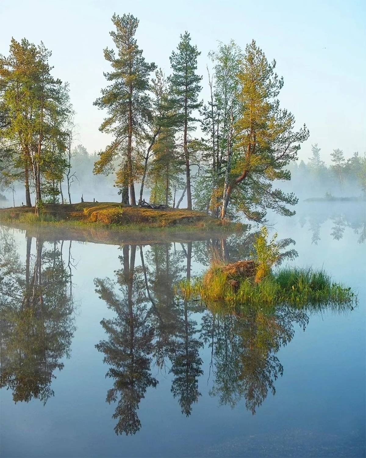 , Петр Косых