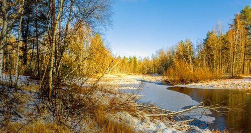 А вчера была осень