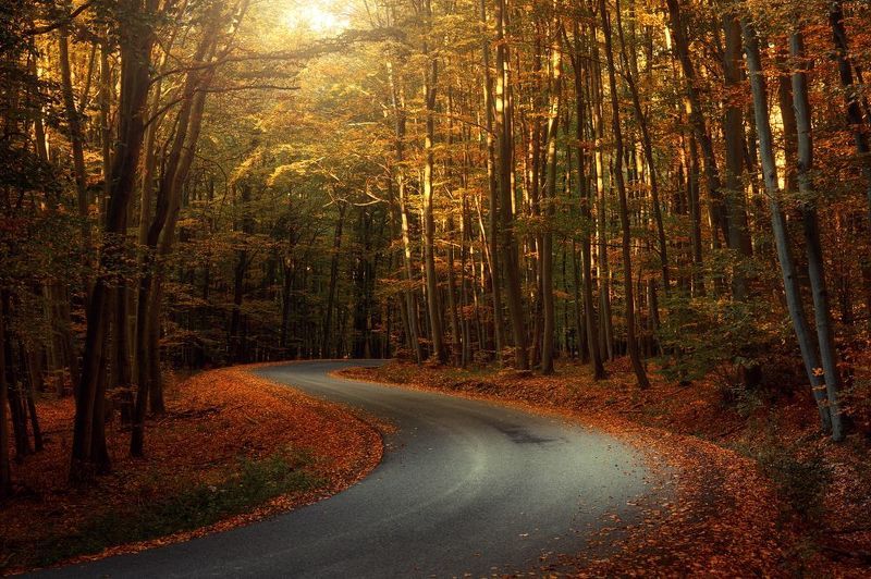 Autumn way фото превью