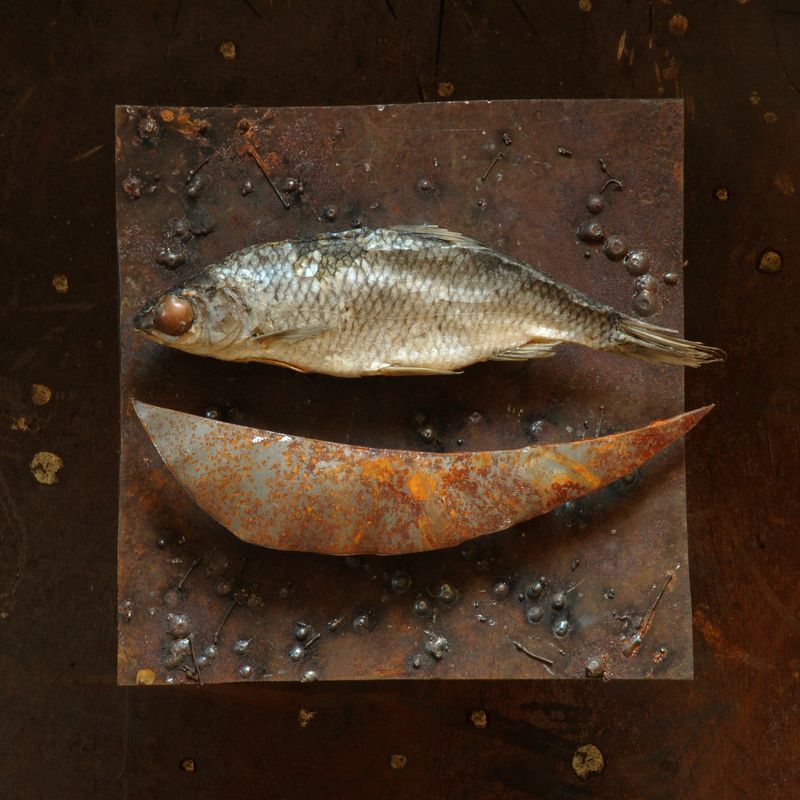 Рыба и квадрат. фото превью