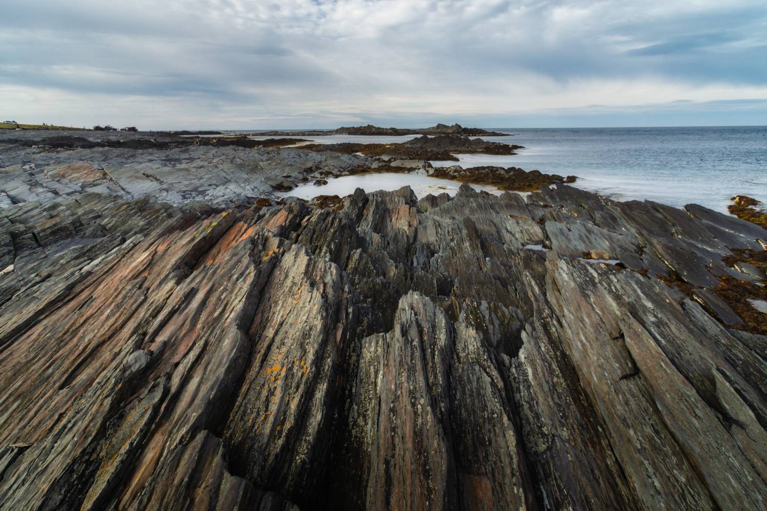 осень, кольский, рыбачий, мыснемецкий, мурманск, россия, Ольга Шарикова