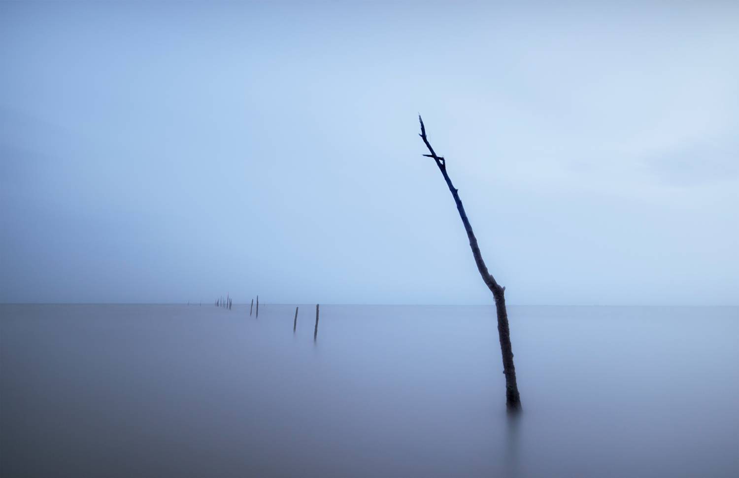 LANDSCAPE, Morteza Ghanbari