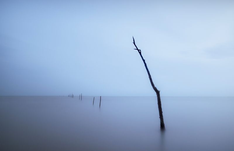 LANDSCAPE MUSHTA фото превью