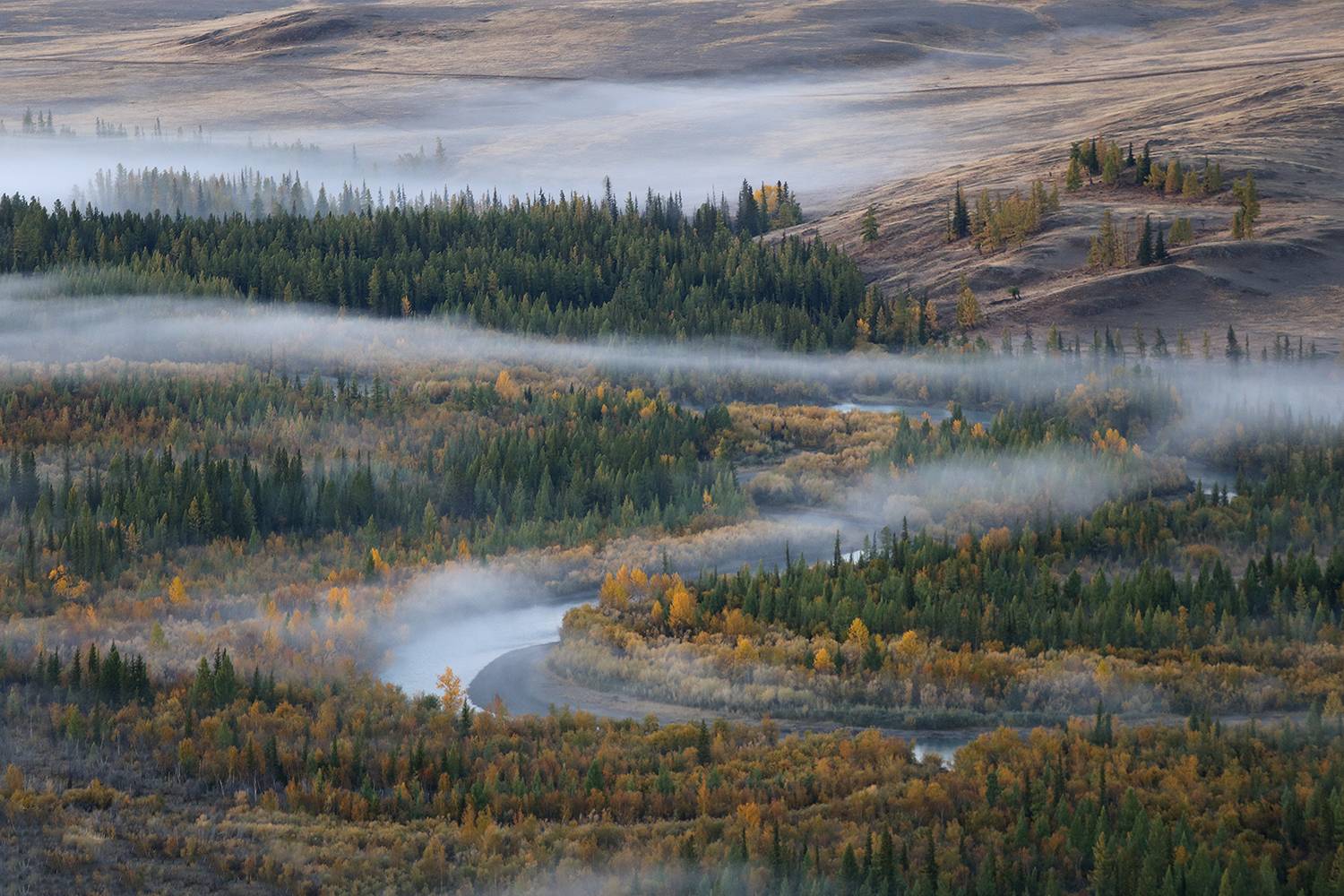 алтай, республика алтай, курай, чуя, Галина Хвостенко