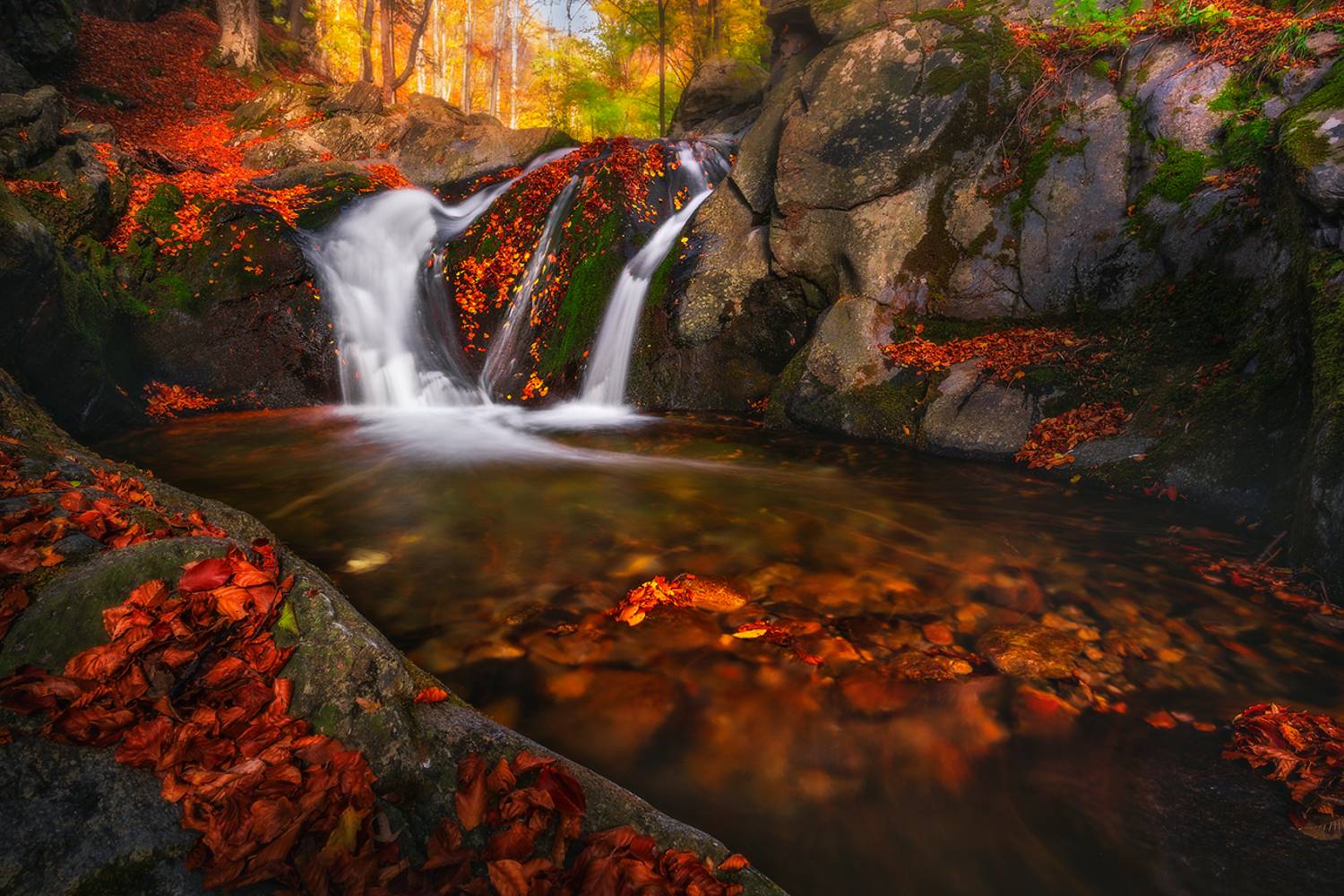 landscape, nature, scenery, forest, wood, autumn, fall, river, mountain, staraplanina, bulgaria, лес, Александров Александър
