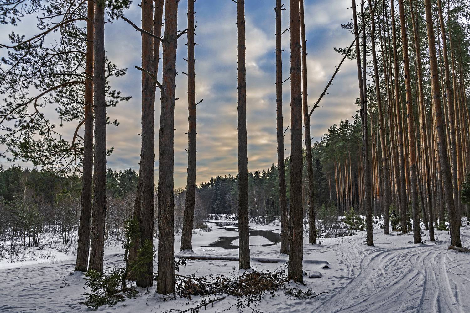 , Шитов Александр