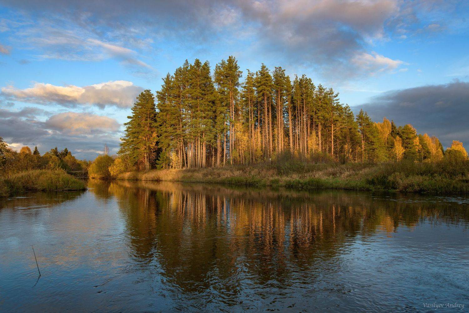 река кобожа, природа, осень, вологодская область, Vasilyev Andrey