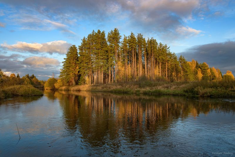 река кобожа, природа, осень, вологодская область Река Кобожа фото превью
