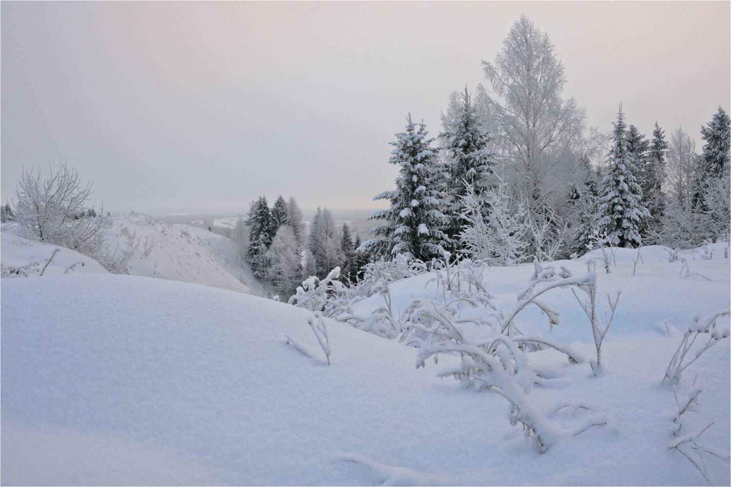 , Анатолий Гулин