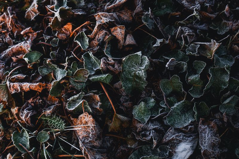 Три сезона фото превью