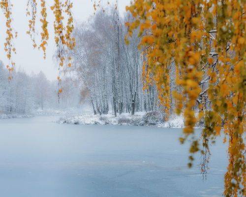 Окно в зиму