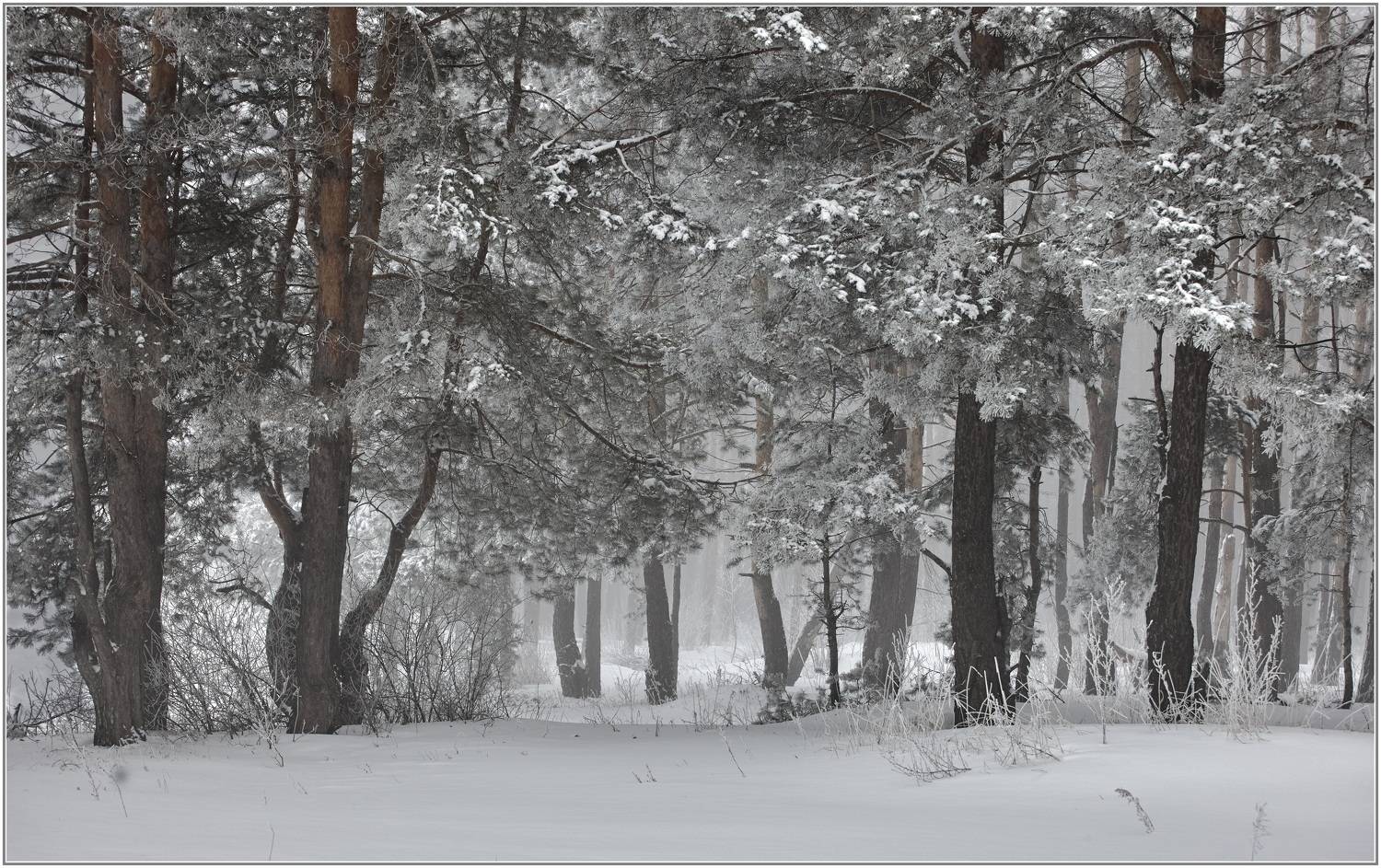 , Владимир Краснов