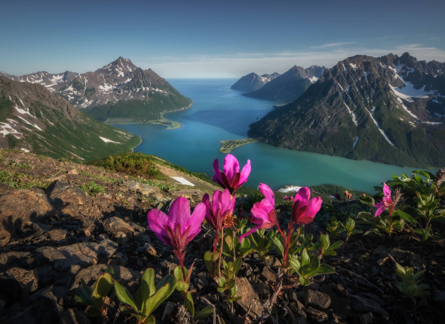 корякия, Андрей Грачев