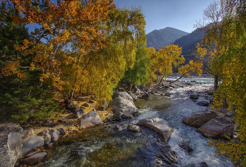 горный алтай, река, большой ильгумень, катунь, сибирь, вода, горы, осень, чуйский тракт Большой Ильгумень фото превью