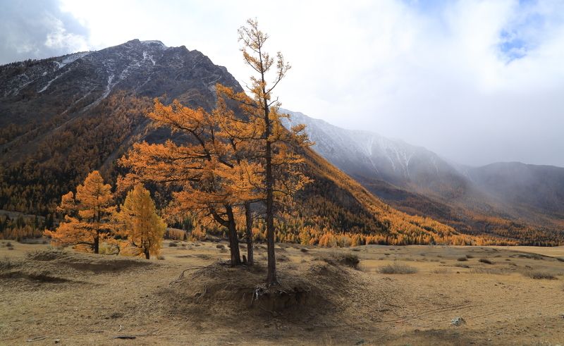 Курайская осень фото превью
