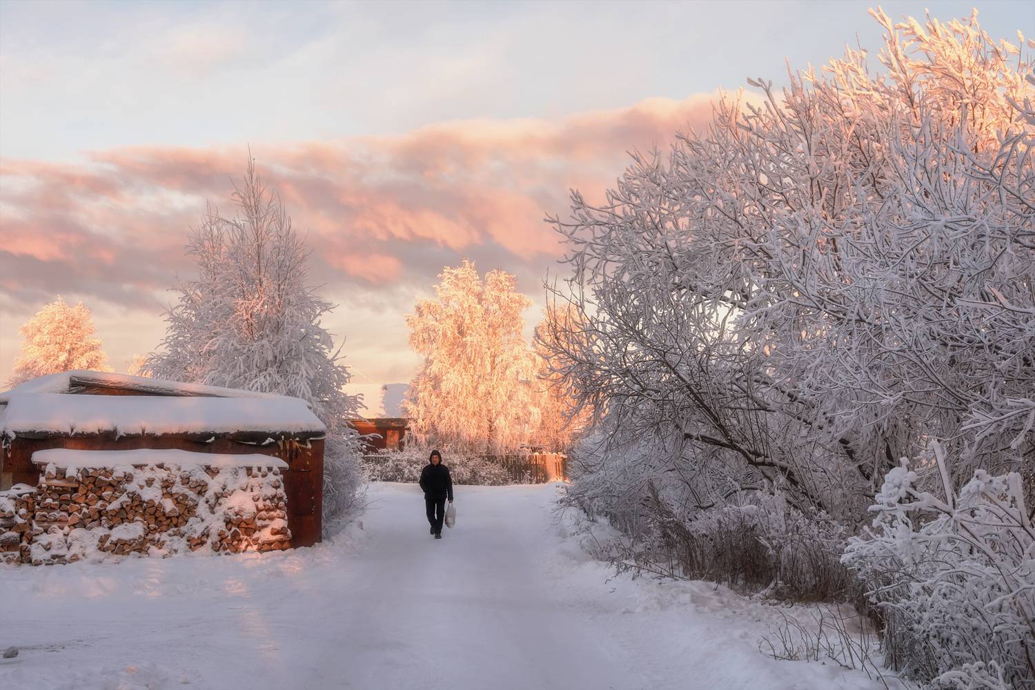 зима, декабрь, иней, мороз, деревья, улица, дрова, соломбала, архангельск, Вера Ра