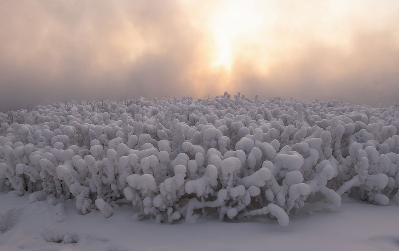 Пришельцы фото превью