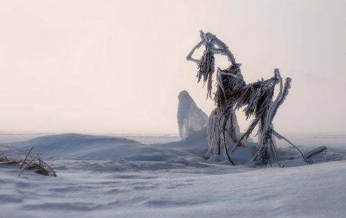 Странник