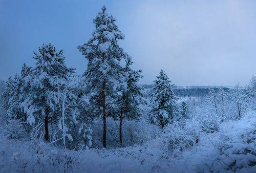 Синие сумерки