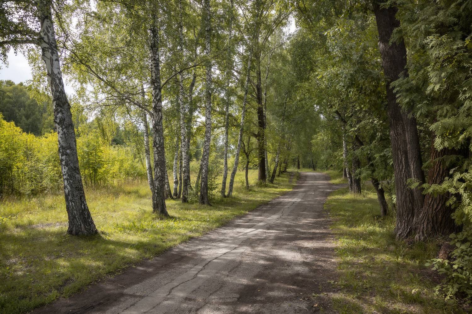 , Алексей Хахлов