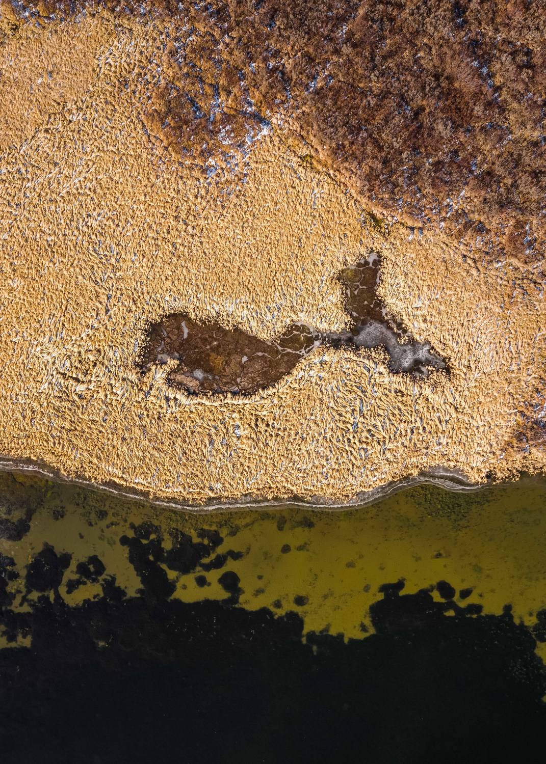 , Евгений Важенин