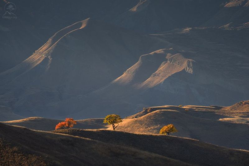 дагестан, чох, террасы, тур в дагестан, фототур в дагестан, путешествие в дагестан Картины прошедшей осени фото превью