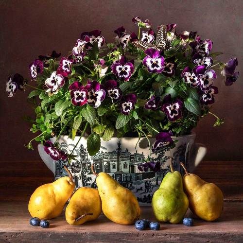 Still life with Pansies and Pears