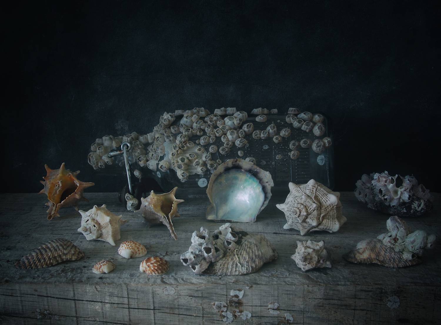 , Димитър Стоянов