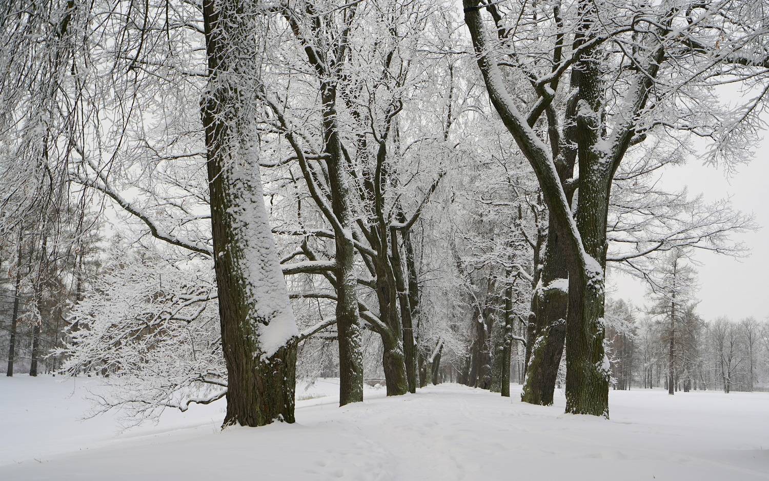 ,  Сергей Андреевич