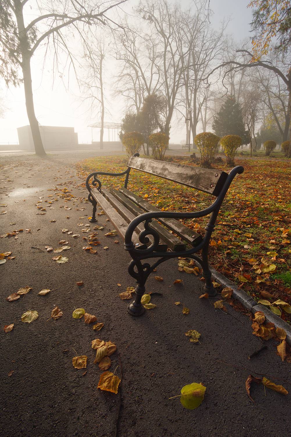 landscape, nature, autumn, morning, Любослав Любомиров