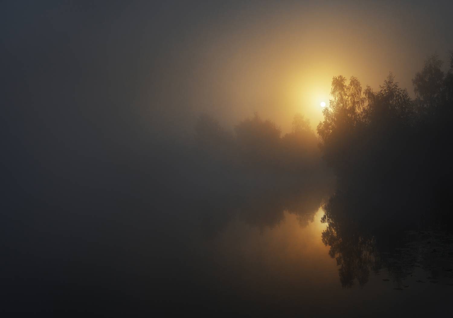 , Анастасия Крылова