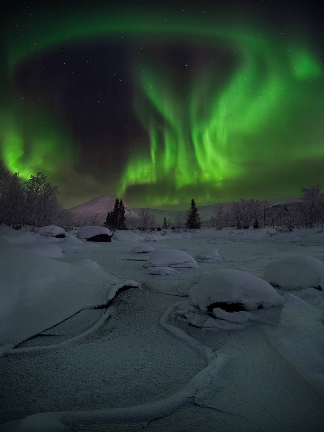 , Истомин Виталий