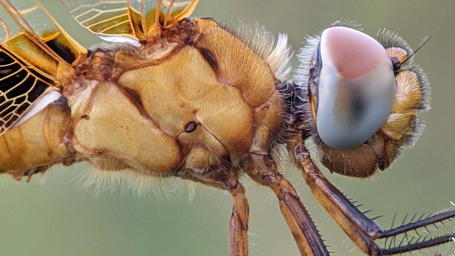 , QUYET NGUYEN TRONG