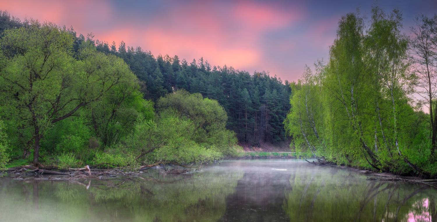 утро река,весна, лес, дымка,, Сергей Шабуневич