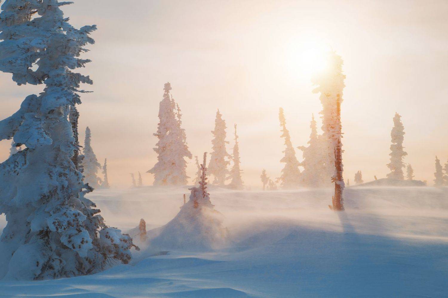 шерегеш, сибирь, зима, метель, ветер, снег, солнце, природа, пейзаж, Художников-Сухоребриков Павел