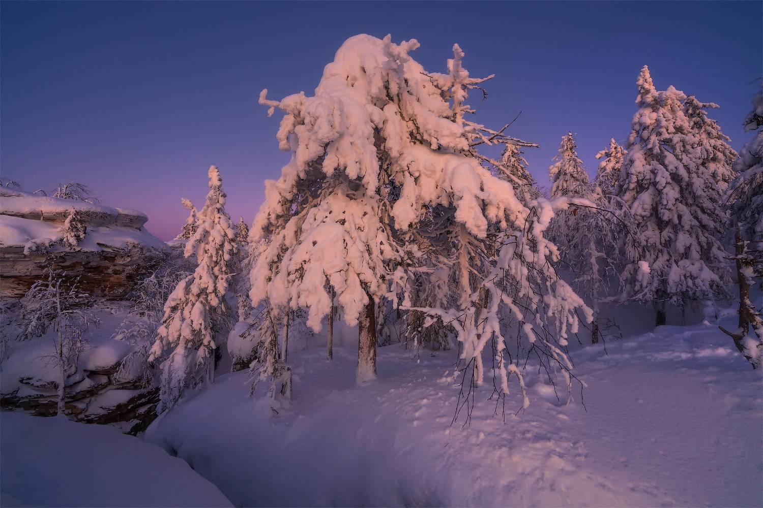 , Владимир Ляпин