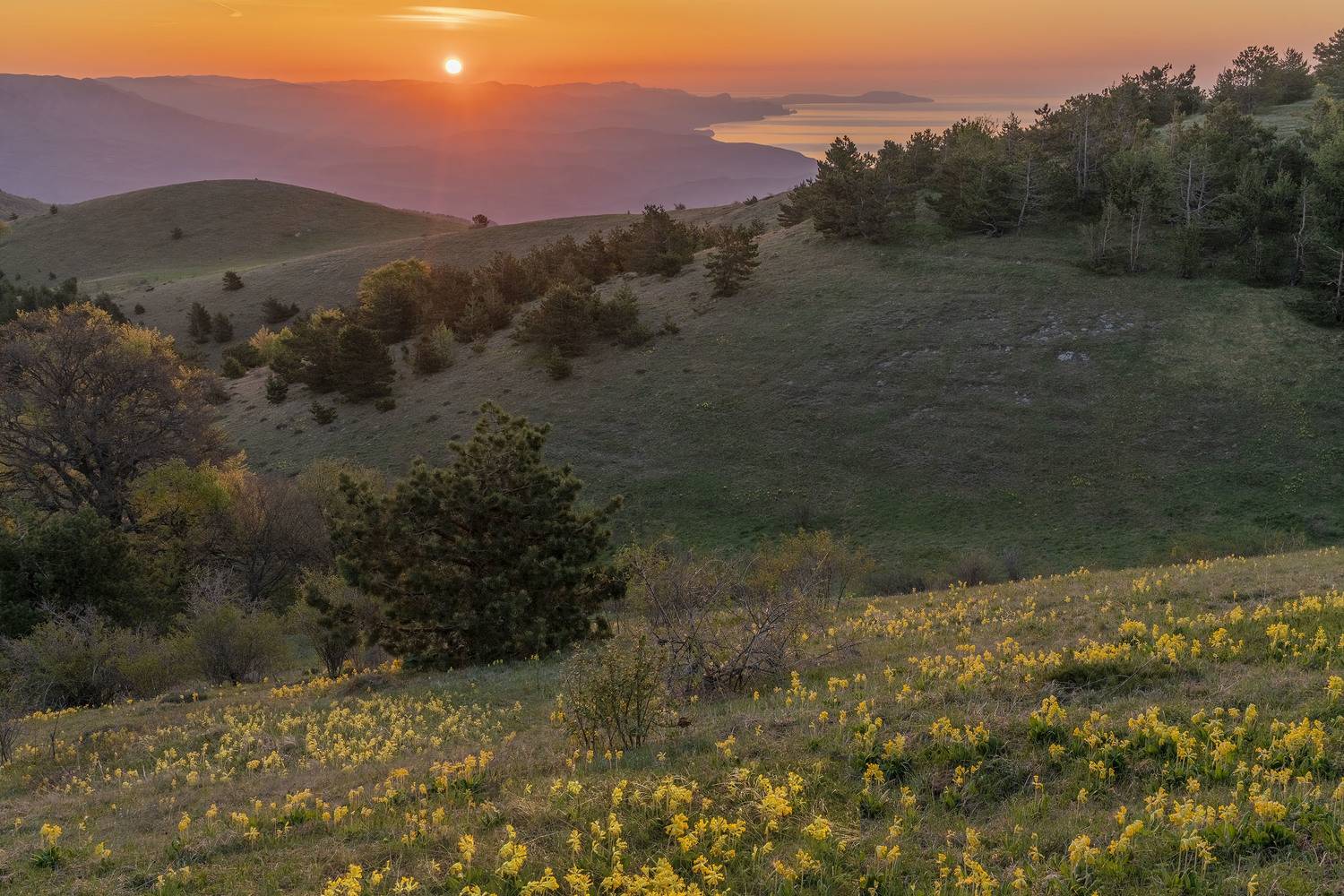 Фототуры с Владимиром Рябковым, #topnature #russpasibo #magic_shots #lovelyRussia #sunset_vision #exclusive_sky  #exclusive_shots #loves_russia2 #photoarena_nature #nature_sultans #nature_perfection #rsa_sky #rsa_sunset #photorussia #rsa_naturepics #sunse, Владимир Рябков