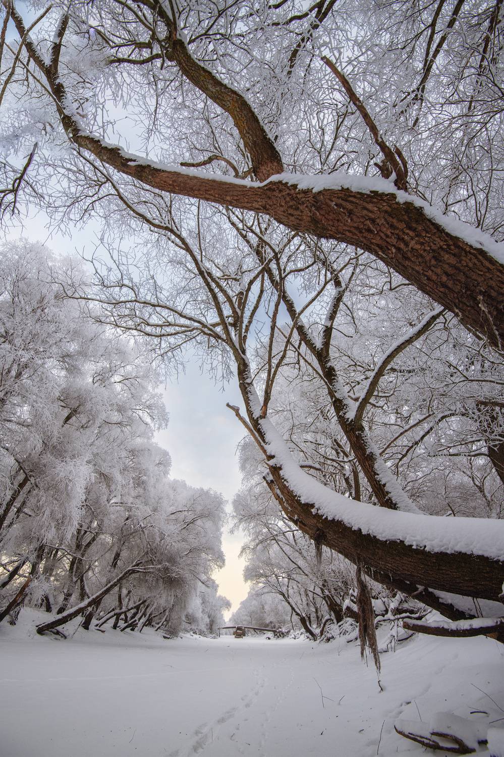 , Третьякова Анастасия