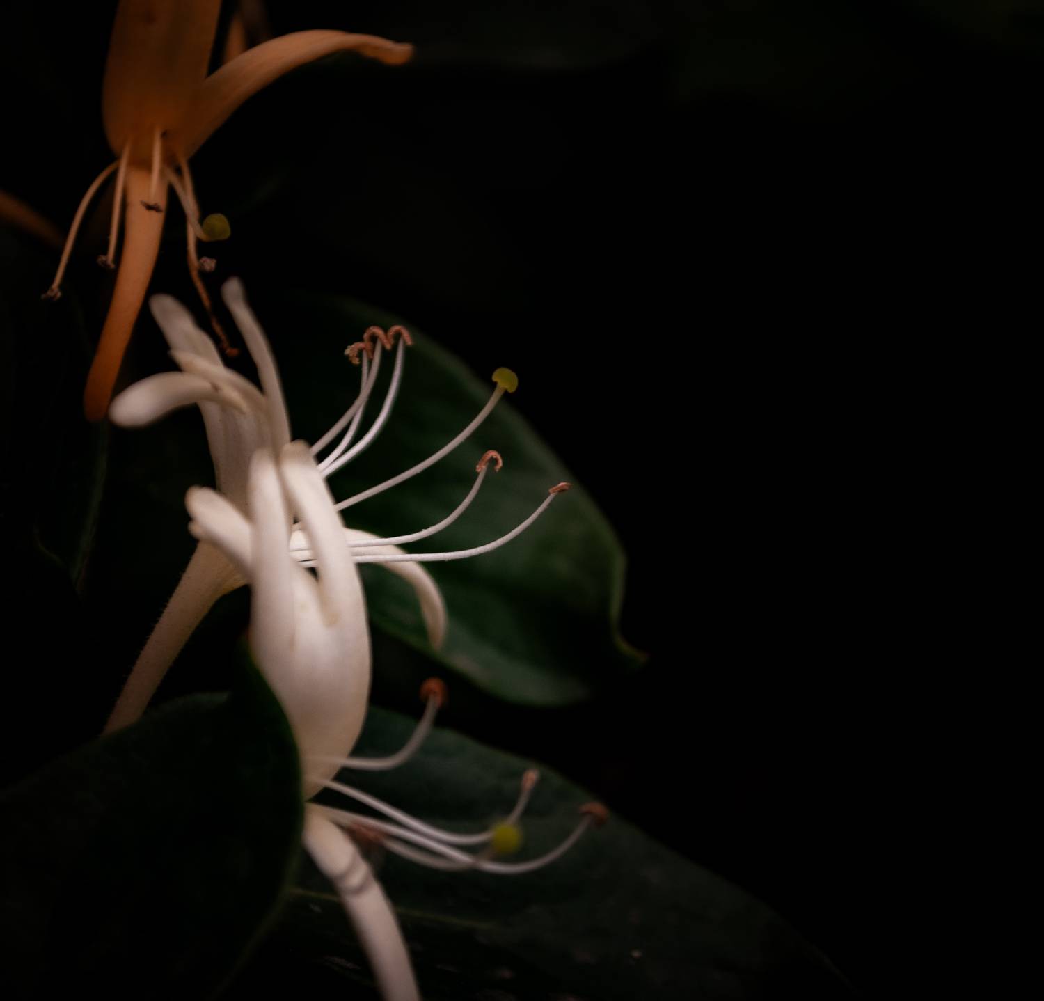 , Silvina S&aacute;nchez