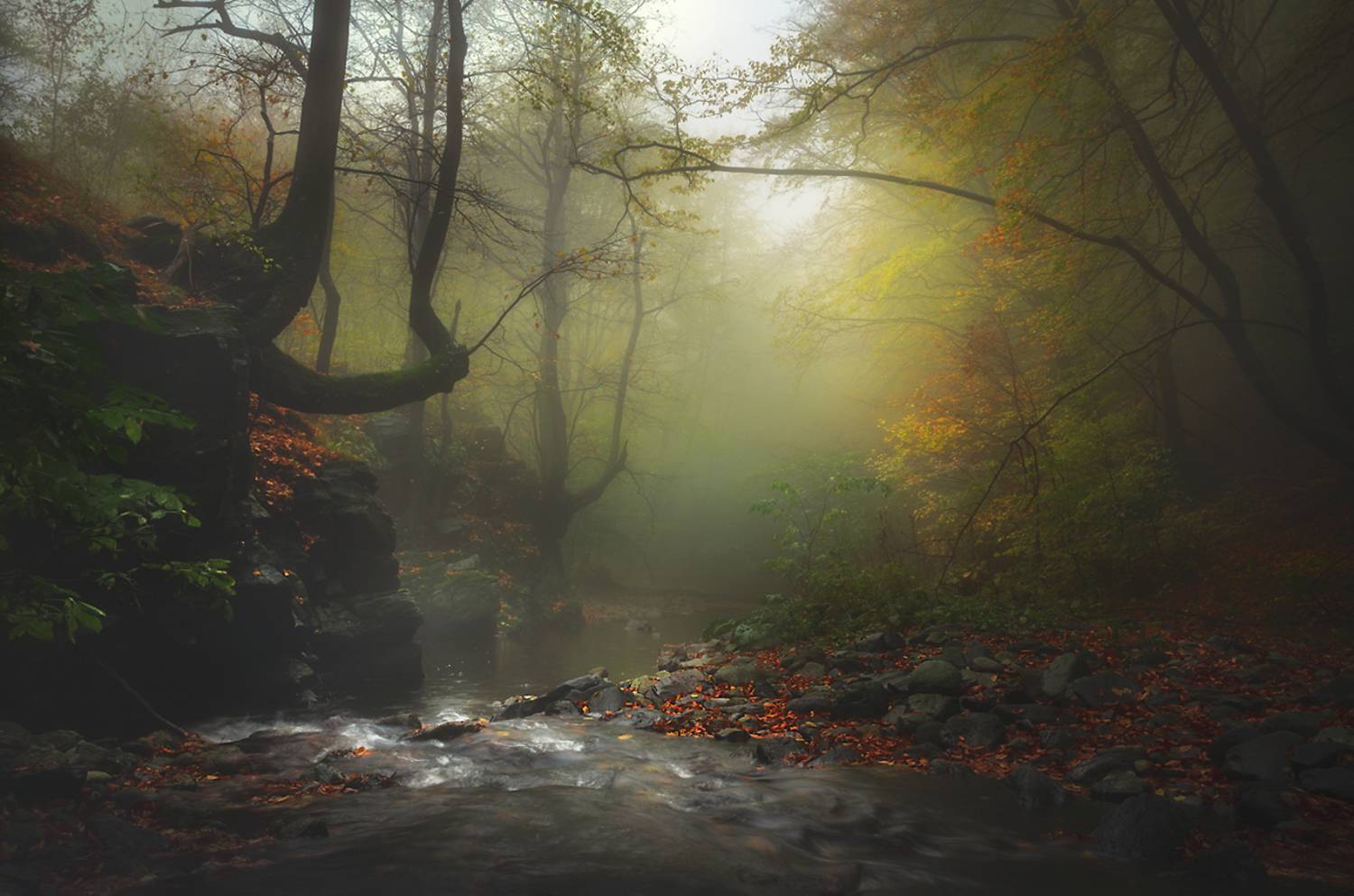 landscape nature scenery forest wood  autumn mist misty fog foggy river mountain staraplanina bulgaria туман лес, Александров Александър