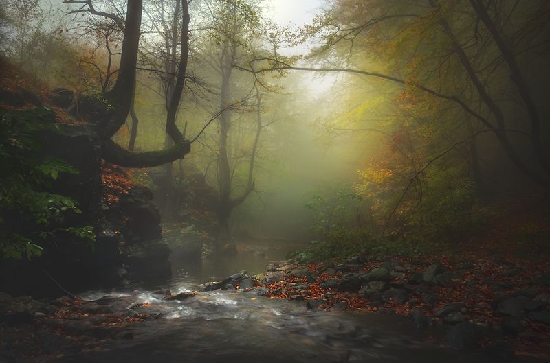 Autumn is painting / Осень рисует