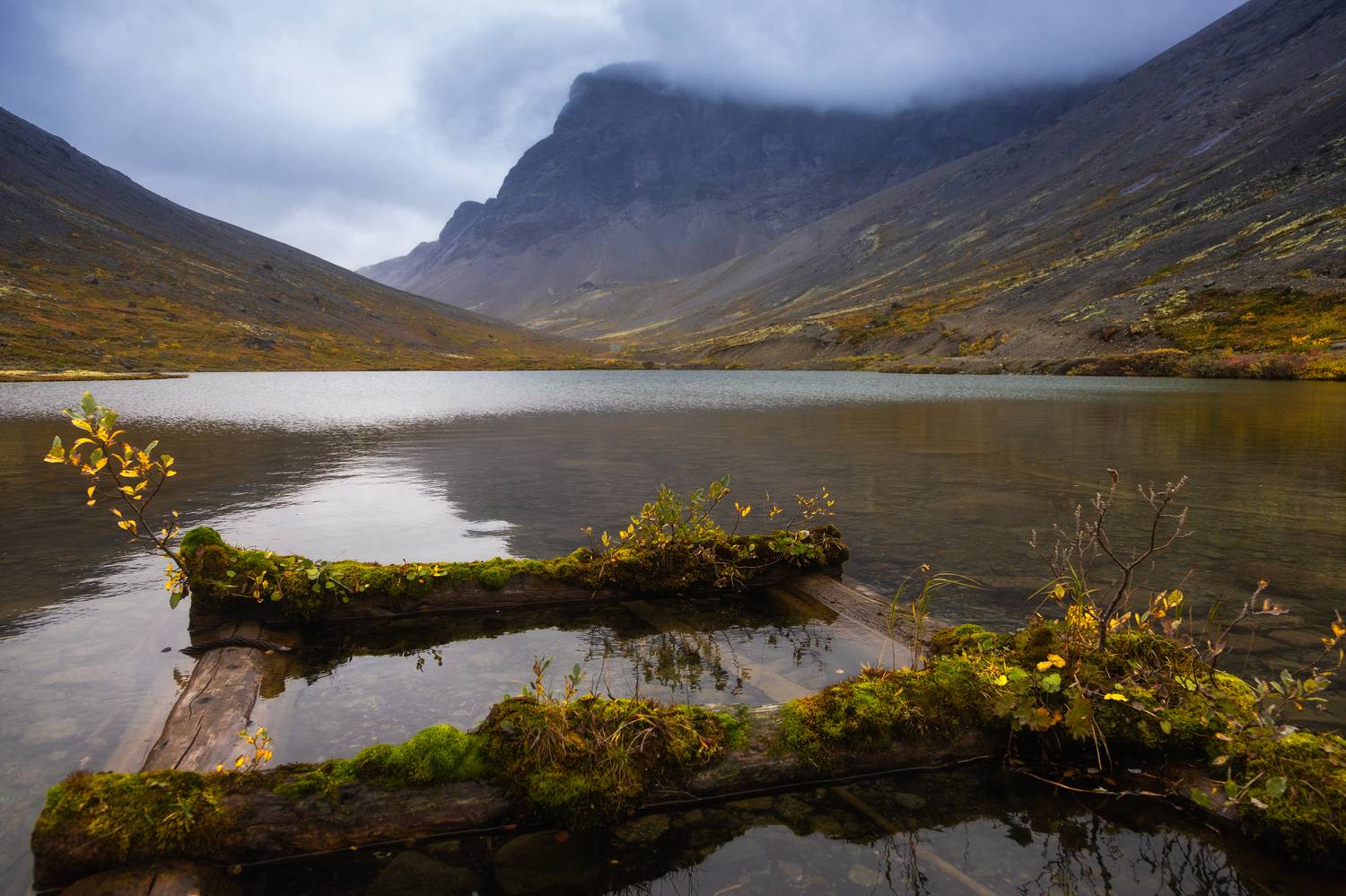 , Столыпин Юрий