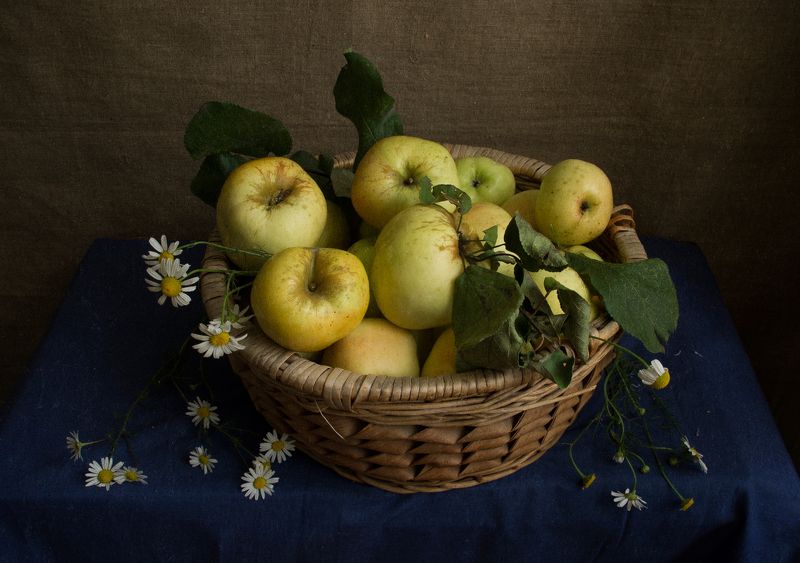 Антоновские яблоки фото превью