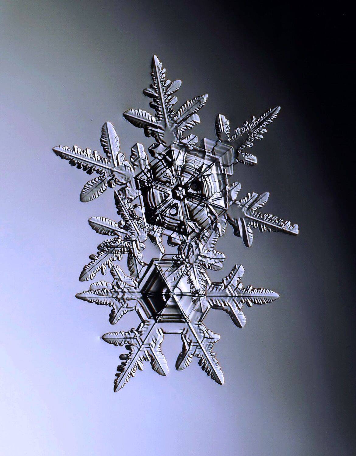 , Борис Риганов