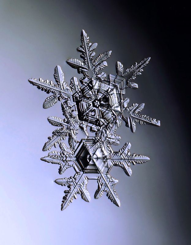 Созвездие фото превью