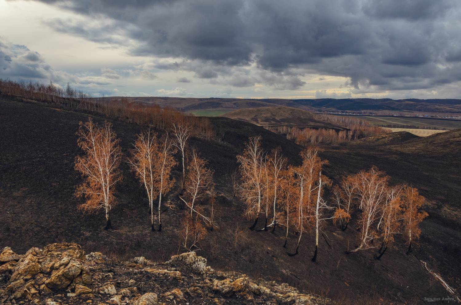 природа, оренбургская область, осень, Vasilyev Andrey