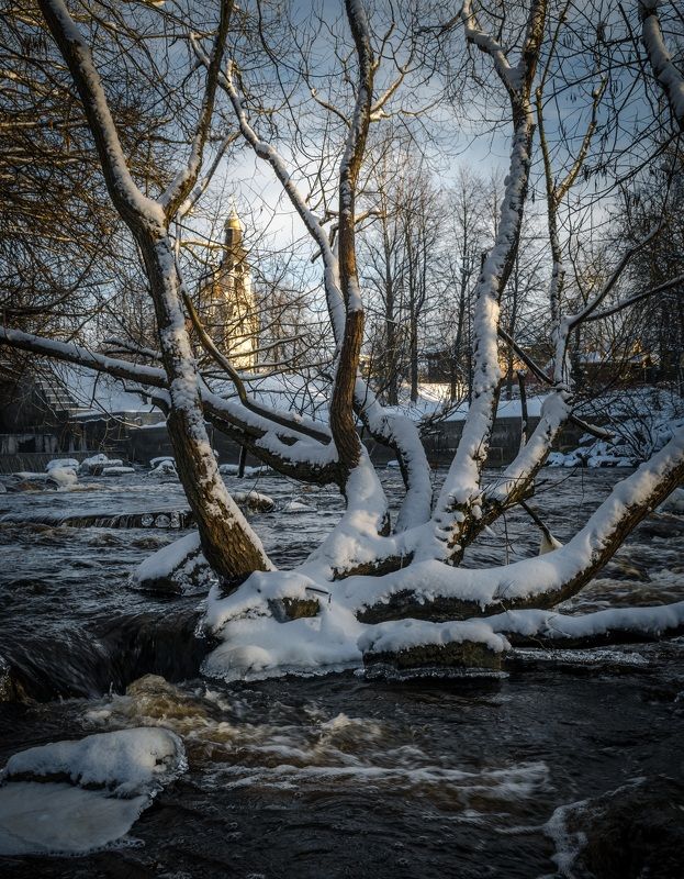 сестрорецк, зима, winter Сестрорецк фото превью