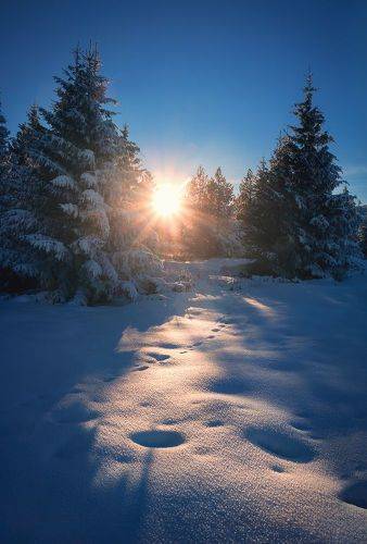 Sun path