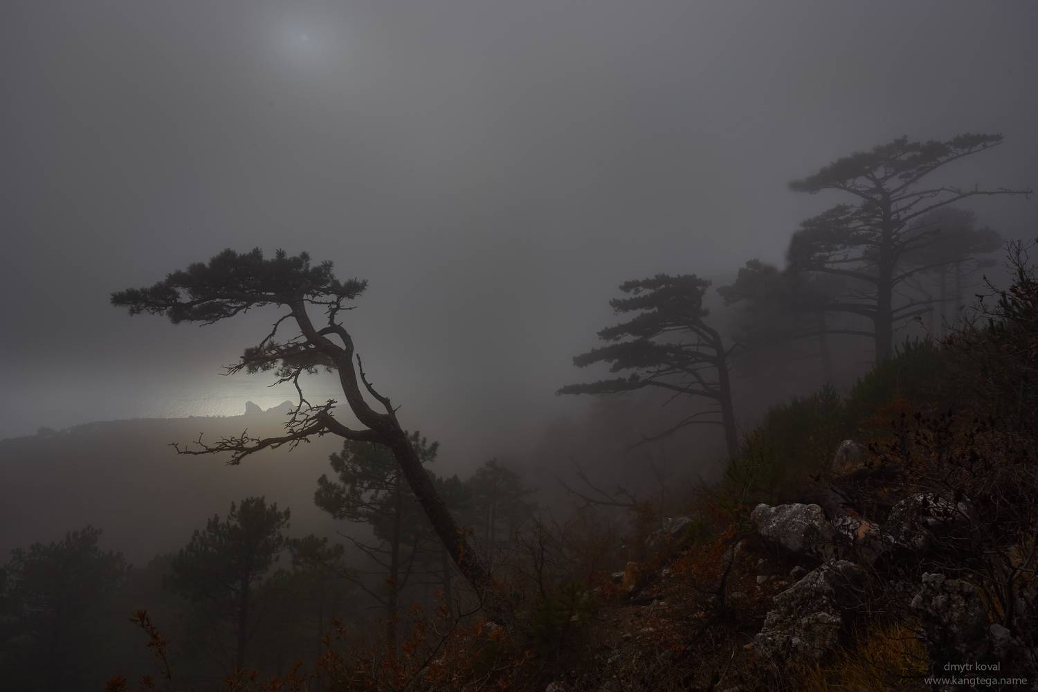 пейзажемагьё, пейзаж-как-виденье, Коваль Дмитр